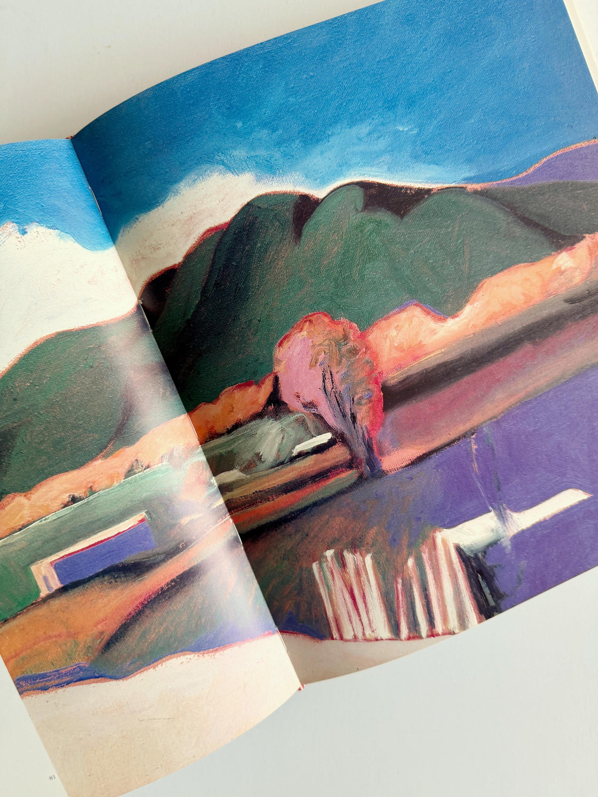 1982 Fritz Scholder Rizzoli | First Edition Art Book with Original Lithograph | Dream C | Native American Art
