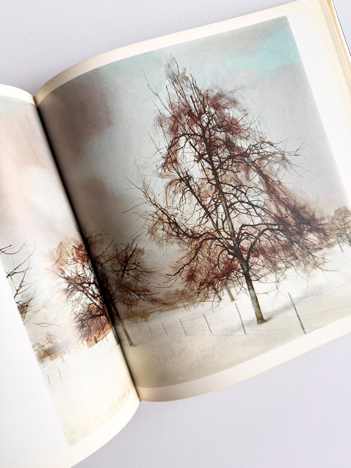 1977 Michel Ciry | French Vintage Art Book