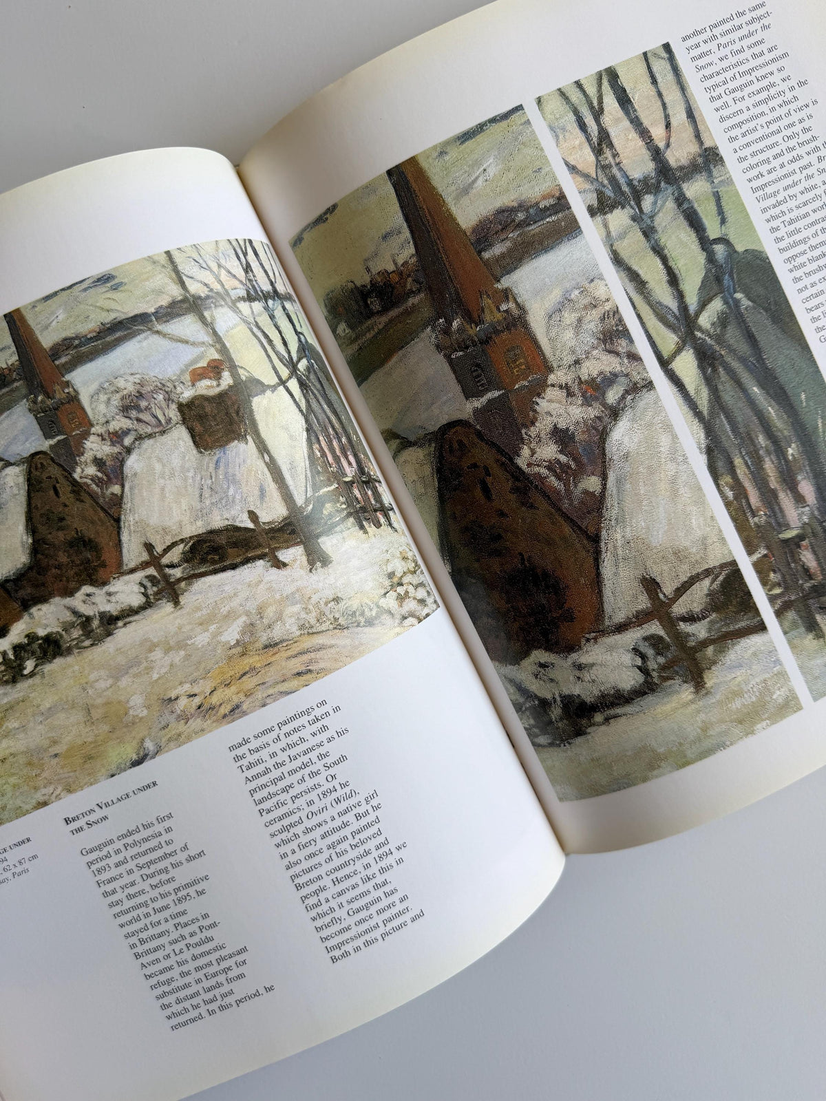 1994 Gauguin: His Life and Complete Works | Vintage Art Book