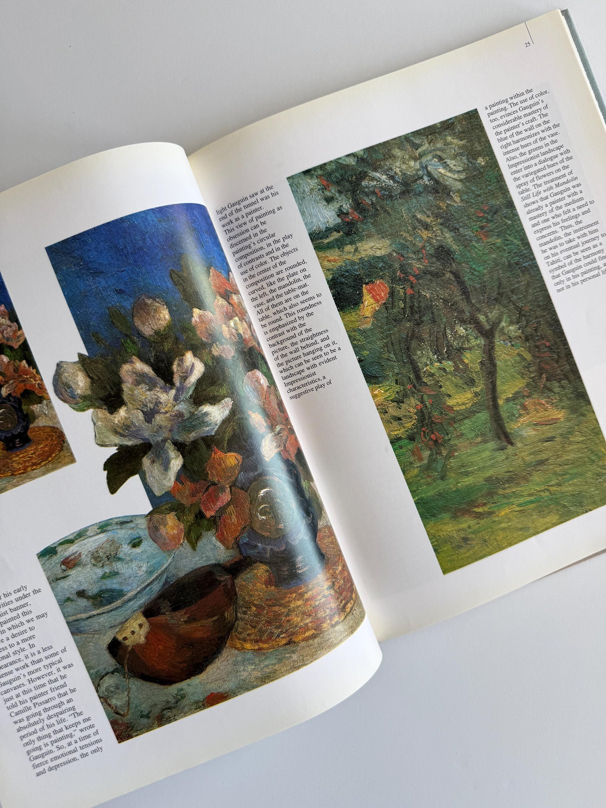 1994 Gauguin: His Life and Complete Works | Vintage Art Book