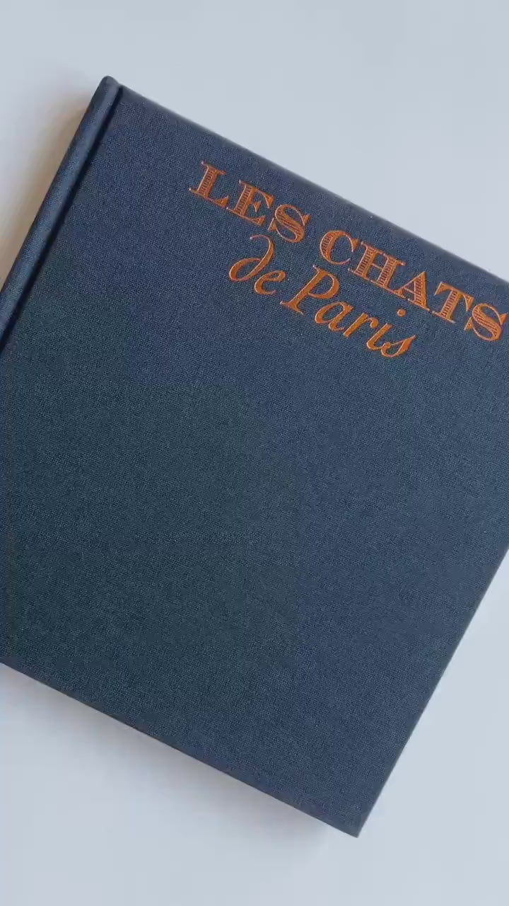 1996 Les Chats de Paris/ The Cats of Paris