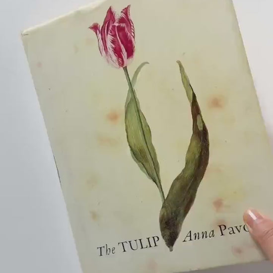 1999 Vintage The Tulip by Anna Pavord | Illustrated Botanical Coffee Table Book | Dutch Tulip Mania | Garden History Book