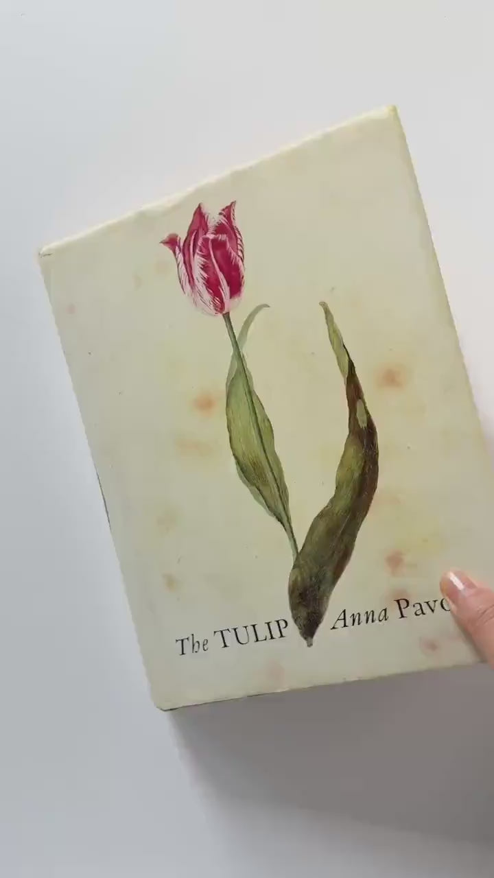 1999 Vintage The Tulip by Anna Pavord | Illustrated Botanical Coffee Table Book | Dutch Tulip Mania | Garden History Book